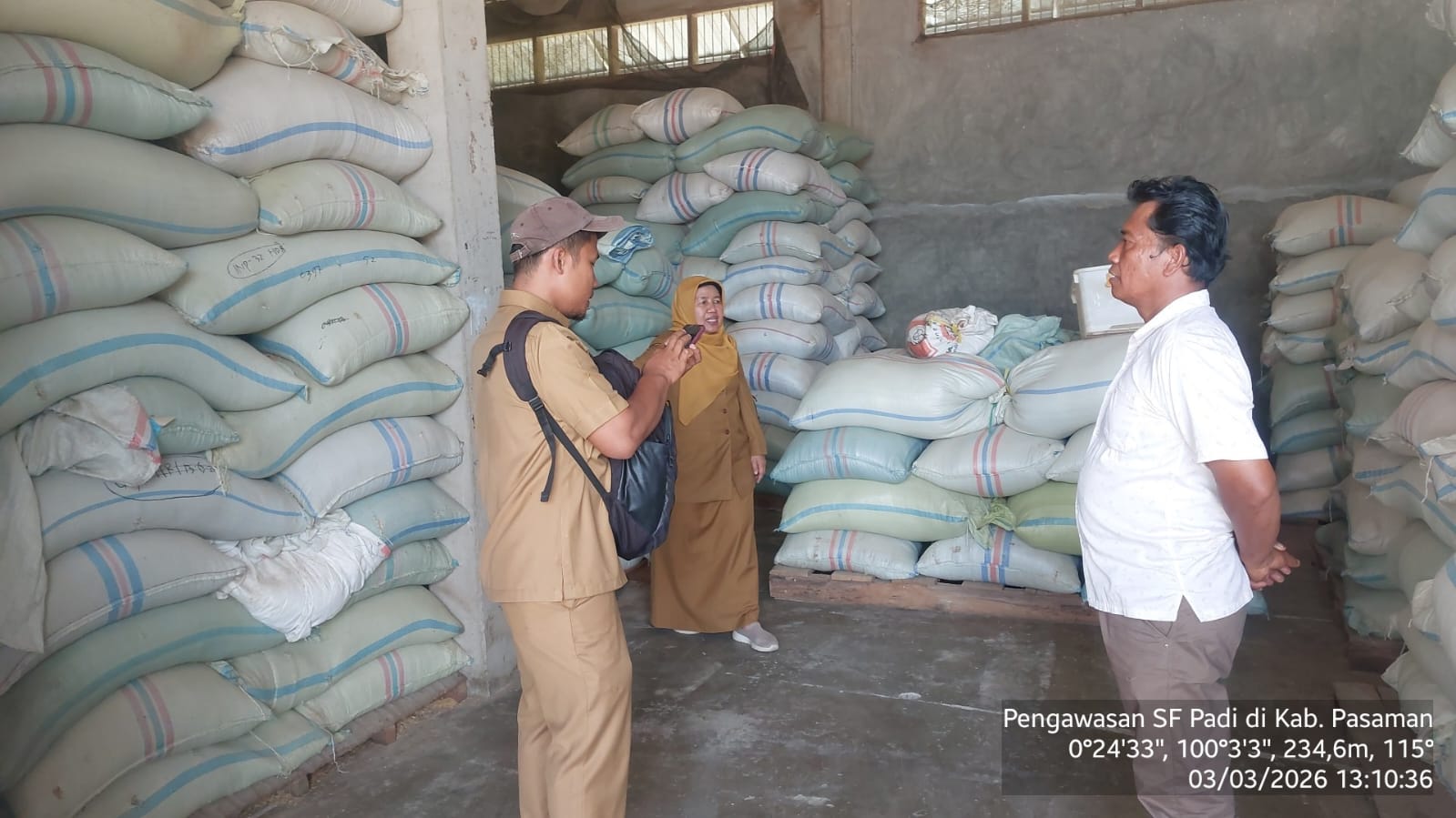 Pengawasan SF Padi - Kab. Pasaman