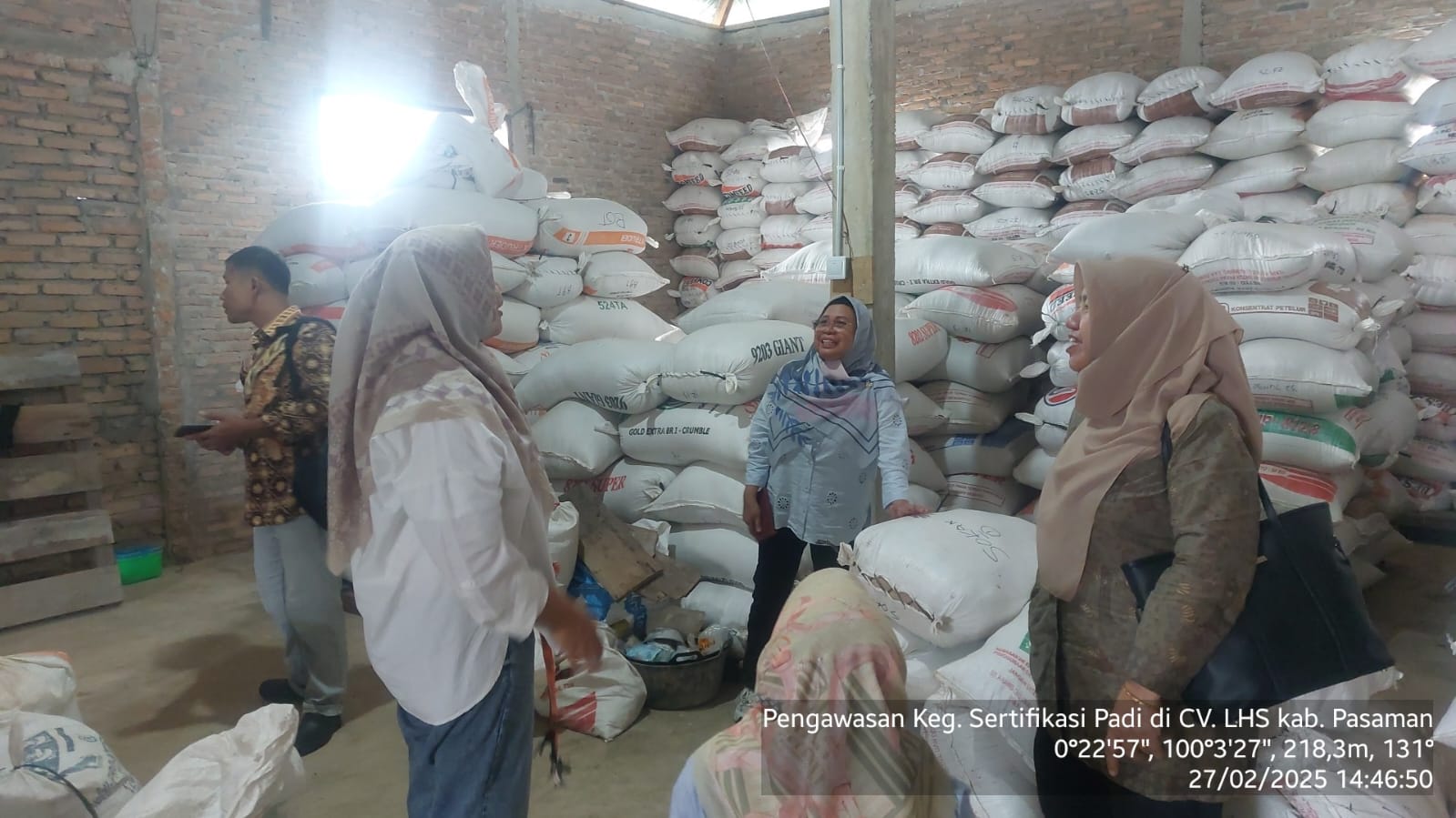 Sertifikasi Padi - Kab. Pasaman
