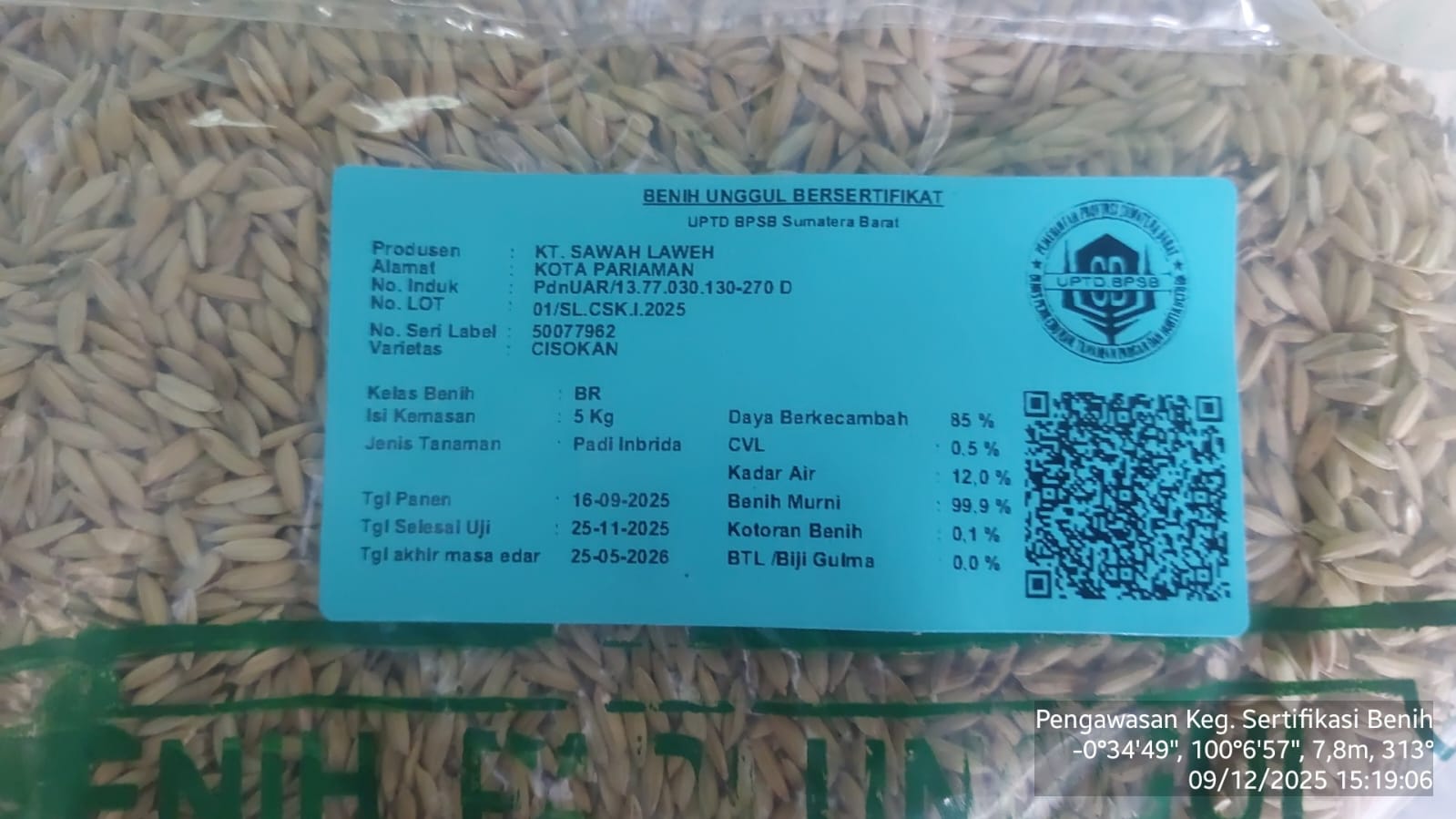 Pengawasan SF Padi - Kab. Pasaman