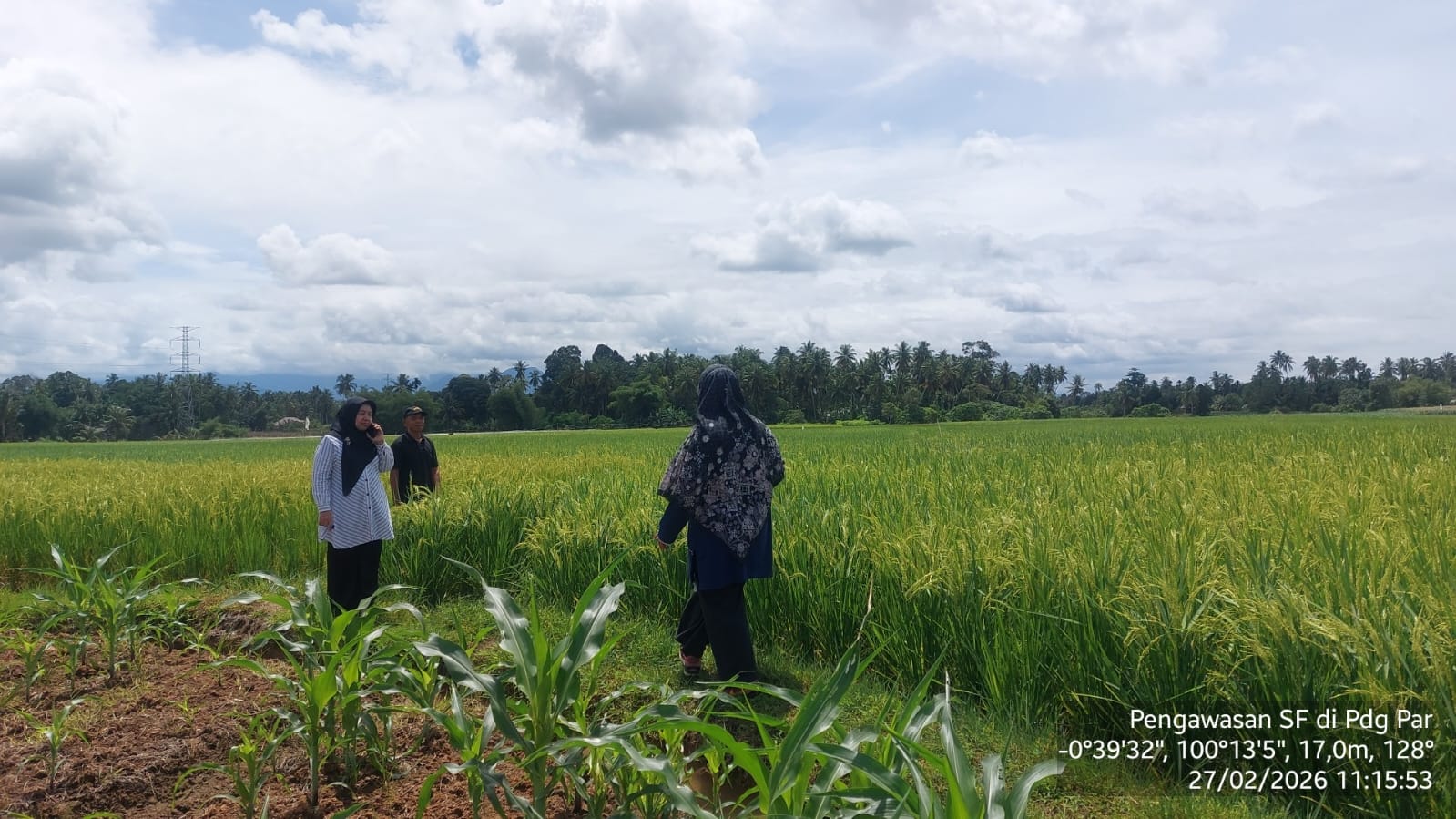 Pengawasan SF di Pdg Pariaman