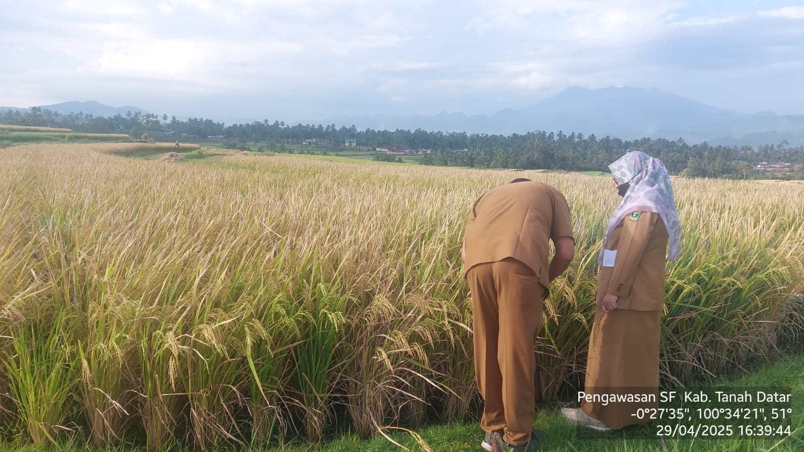 Pengawasan SF Kab. Tanah Datar