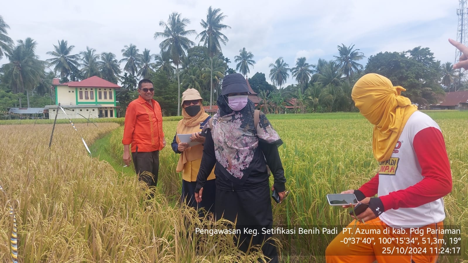 Pengawasan Kegiatan Sertifikasi Benih Padi